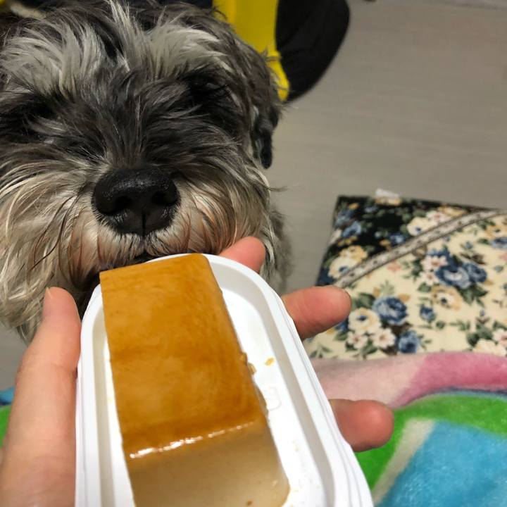 5151af0a 98cb 4c27 a3c2 19c8acd39017 1576678791311