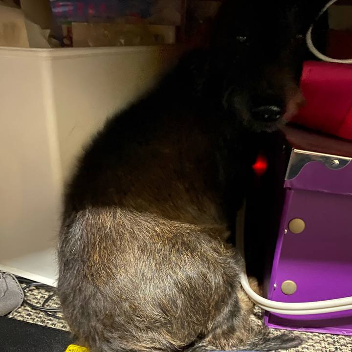 5151b65d 897b 4db1 887b 54baf86f18f0 1606579992398