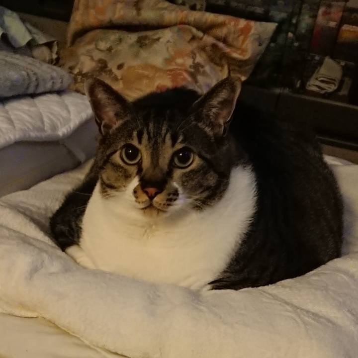 5151d04b ac3c 417f a11c 38d3ef742eeb 1561768102996