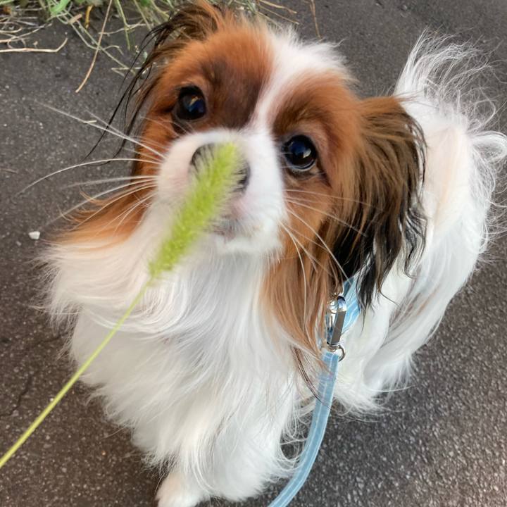 5151d8c9 af2d 4b2f 9a7f 0936b4bbcc08 1630666132900