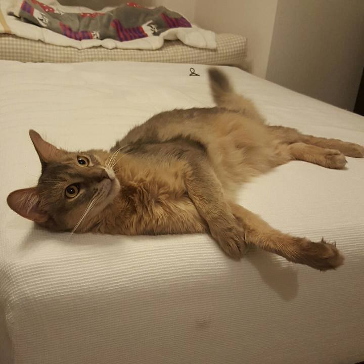 5151db16 02cb 4f63 8ae7 eba57cb37e66 1526304243968