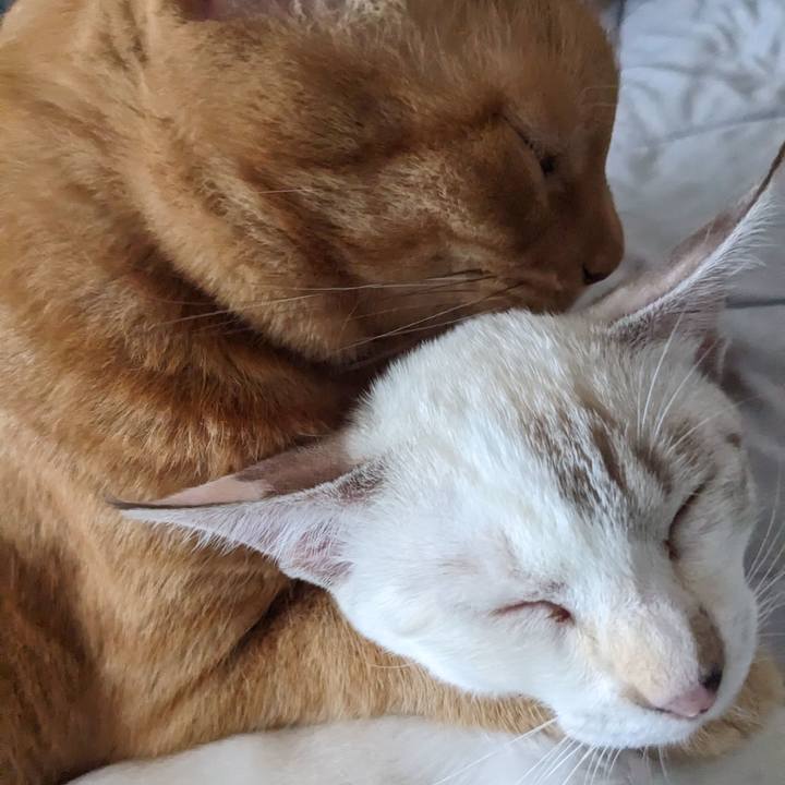 51521766 90f5 4ac3 acc5 c027a76f16de 1693610484412