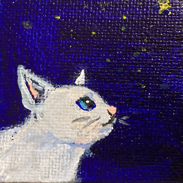 5152697f 17fd 465d bb6c 83249cf8494d 1671153256235