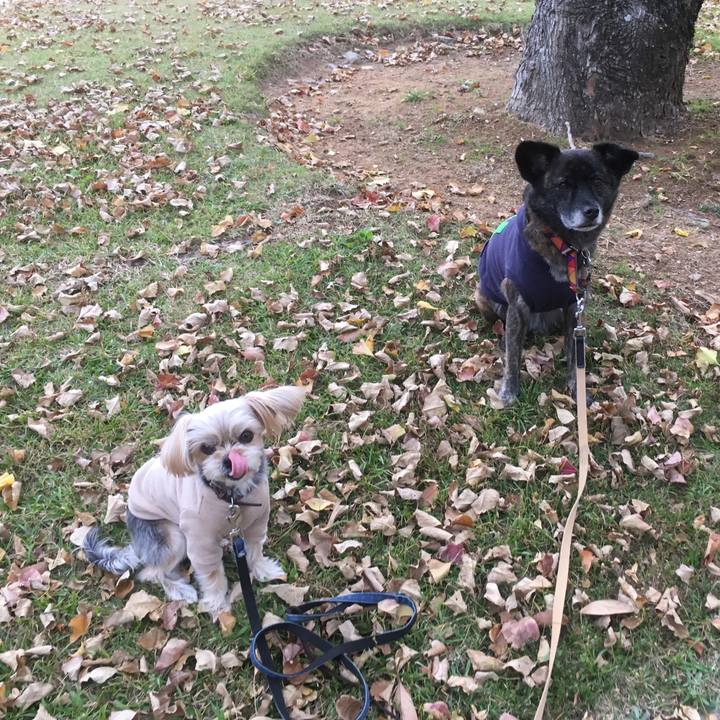 51526b53 eaaa 441c aef4 105310262aec 1542550602382