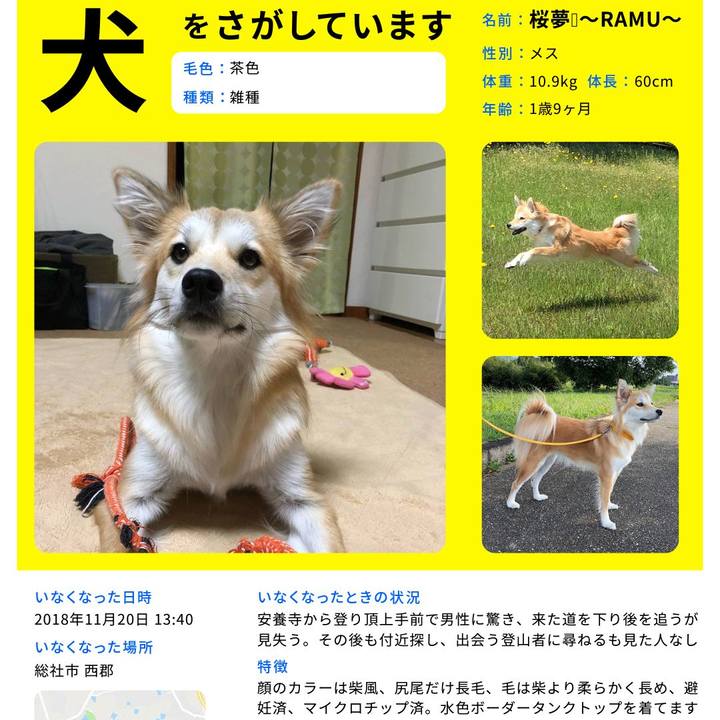 5152a620 16e2 4888 b7f0 ffa9c9ae6c13 1542800597595