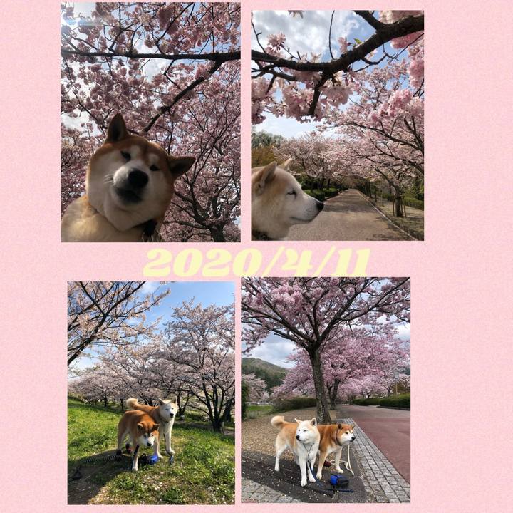 5152b7d8 8a9a 473d 87c2 76e1fd6e2442 1586644100221