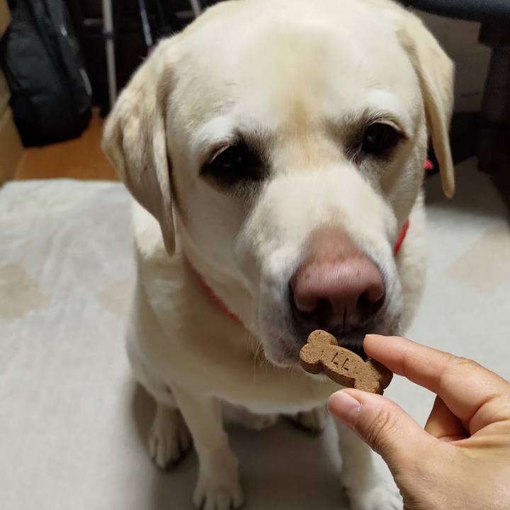 5152cf3b 0358 467d 8d59 9600a51346ed 1714492257121