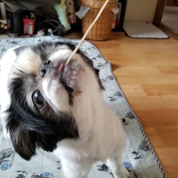 5152d183 301b 450c b50f 93cd2cf054c5 1589625391627