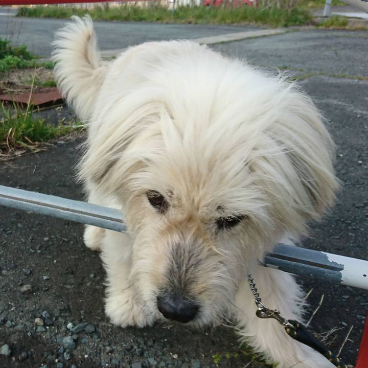 5152e524 0f5f 4769 8477 6e2623f76e32 1588239175886