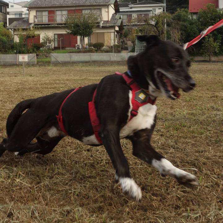 51532cd7 0d69 478f 93b1 56403da78314 1695859246921