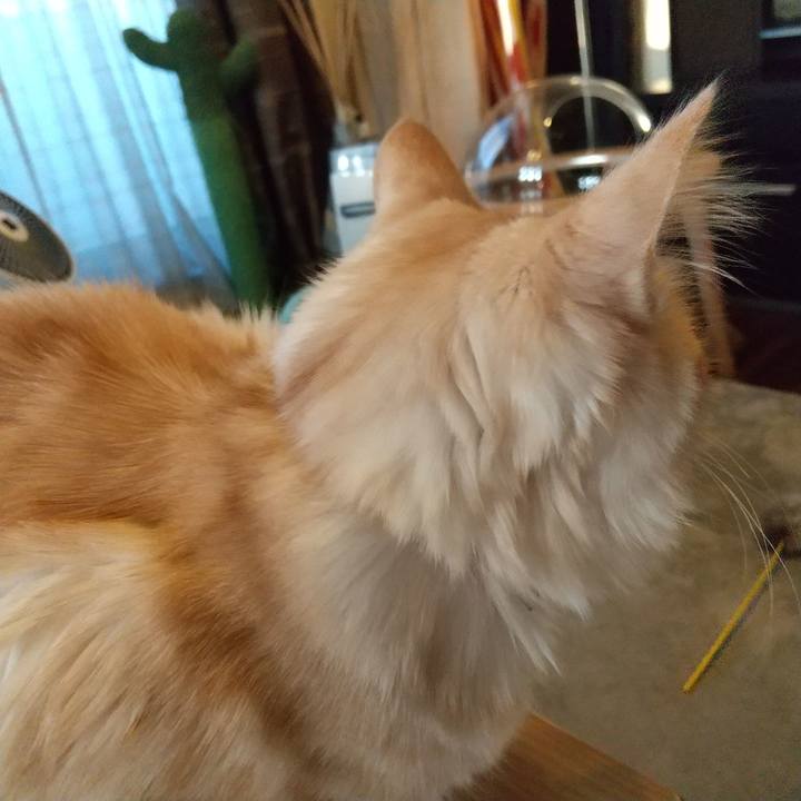 515334a3 d8d1 4436 860c 44dfbe6e2faa 1615759508071