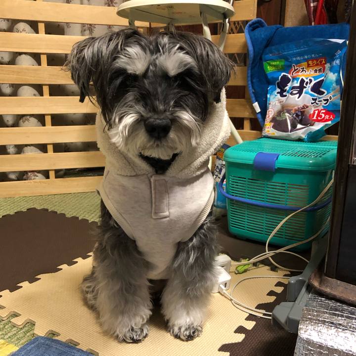 51535f2a 98c8 474d 8b22 121c65456a45 1706266593999