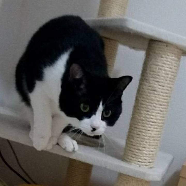 515394df 03bd 4369 bf5f 94c552e5dde9 1528897157481