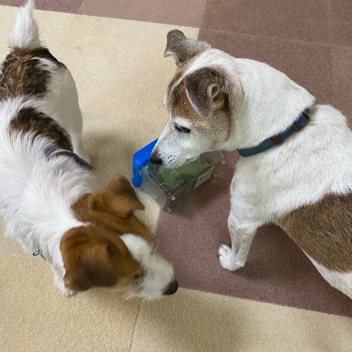 5153bfe2 d84a 4b2e 8eb3 cda511721a68 1626394336704