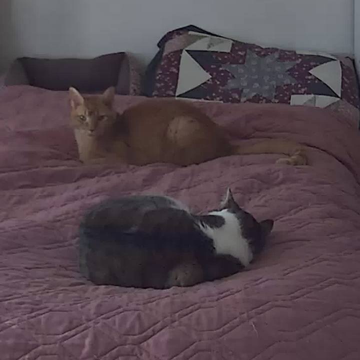 5153d868 cd18 46d9 af59 d88cb90ffce1 1691108682497