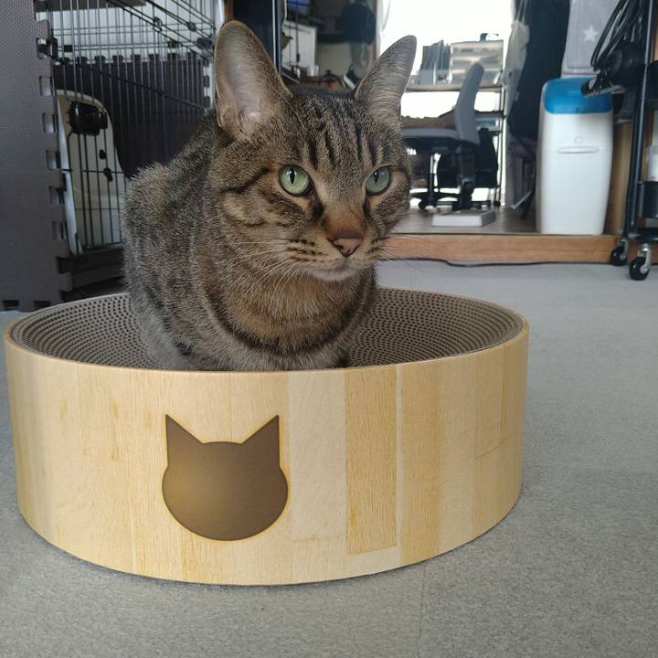 5153f632 604d 41f8 9b47 94a3e51a45b5 1736222998484