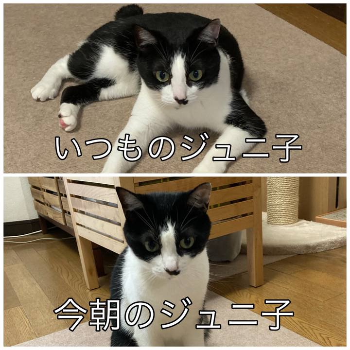 5154163c 2f4a 43c0 83a4 1337d490ede1 1655968770622