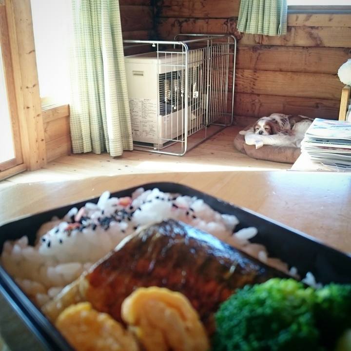 51542aed 5c99 4582 aaee 520fecf82107 1526941901890