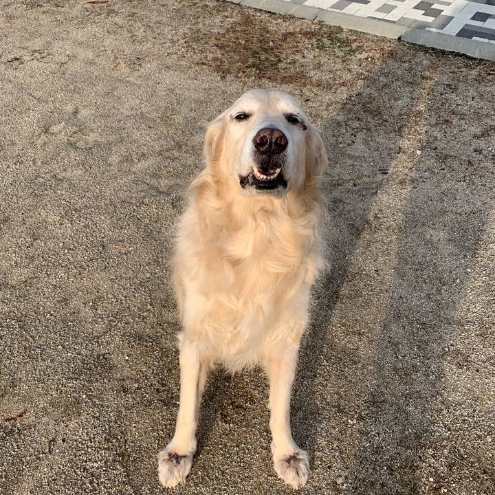 51542cc9 156a 43ff 8164 3180acd2e016 1551487050361