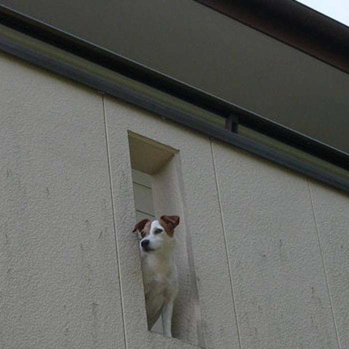 51543ae4 df09 48f2 bdbe b7e0f05a6e3a 1691567249866