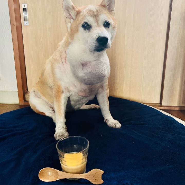 515489e1 63ac 4d31 b2f8 c0bb61900ae2 1758013312701