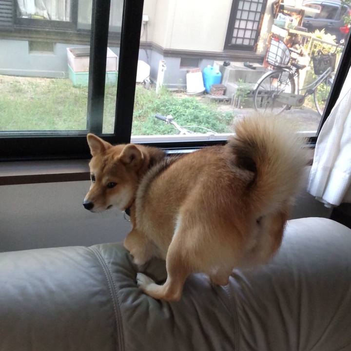 515496a0 ae3f 4955 ba0a cf115117ce36 1627686357076