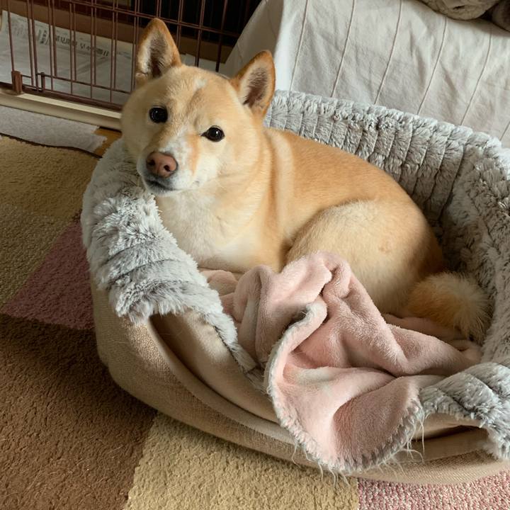 5154b873 99a5 4868 97ce 6a781689d689 1638314510021