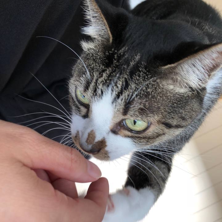 5154c4fd d152 45d6 b77e b8228e99e69f 1538107377467