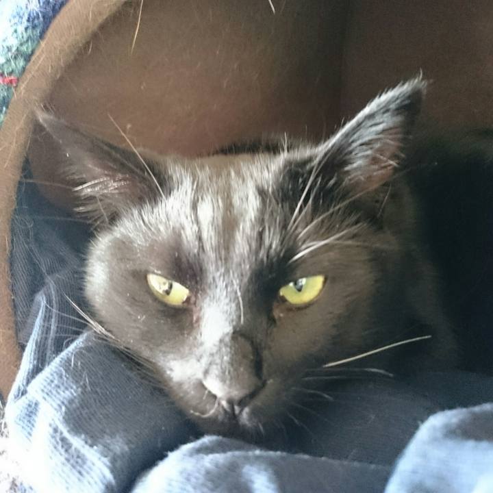 515513ff 2da1 4200 bddf ff175d5c012a 1520124802839