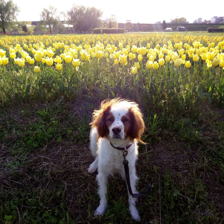 51554020 1dfc 4be4 adf1 f30118bec3f7 1523178501451