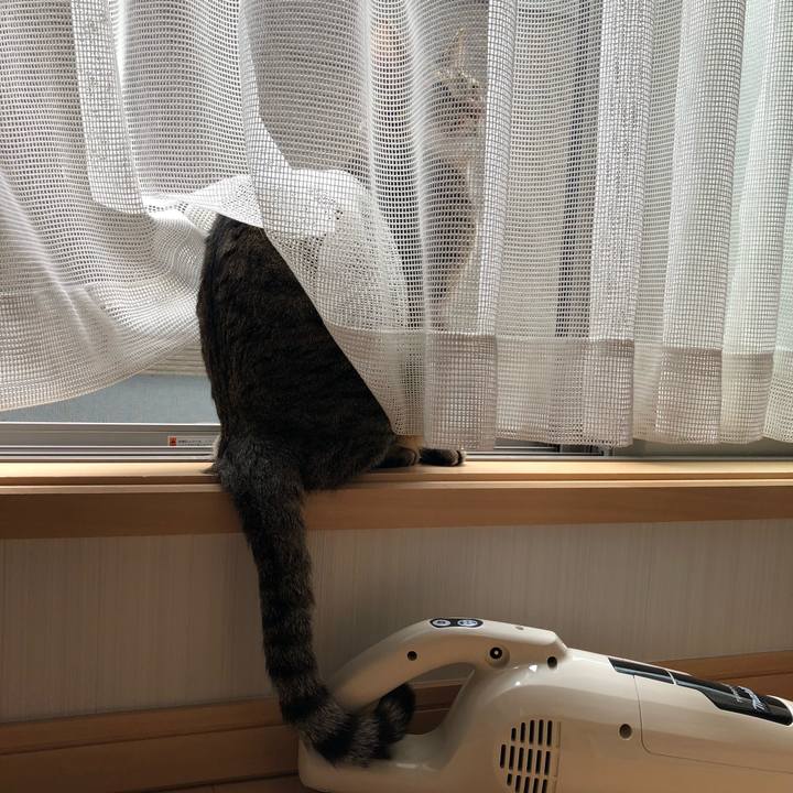 5155844e 7559 45af baeb 9ade168e4741 1553630368898