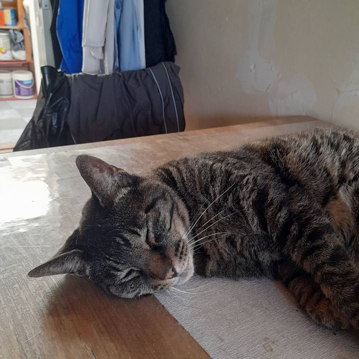 5155a147 28d5 4668 8bf4 5bde8bf0ad27 1766886357509