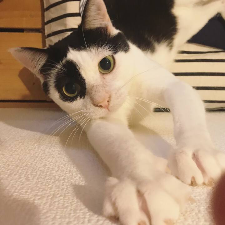 5156bc93 e015 4b19 8e83 2cec9c3ec8a0 1531484075077