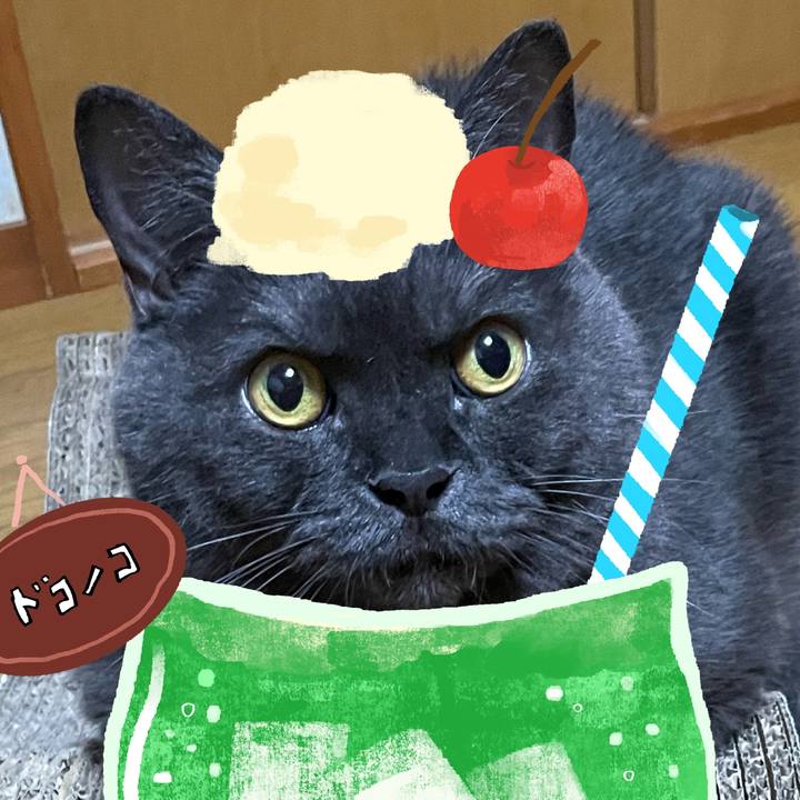 5156ce67 df1d 40bf 9021 ee3f10c83e91 1755487459477