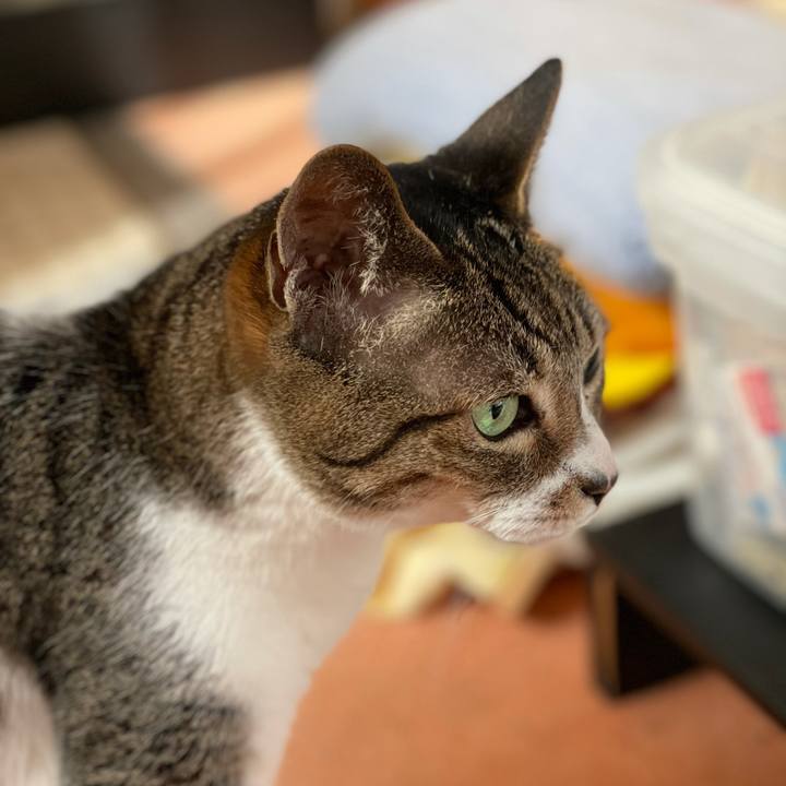 5156db0a 8766 44a0 b7bc 0d8acedbbe71 1615686825548