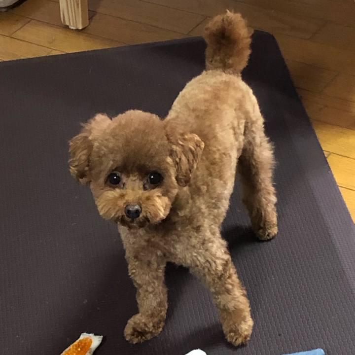 5156ed27 6a2f 41b1 a12c 78ea5ee9f024 1574553451953