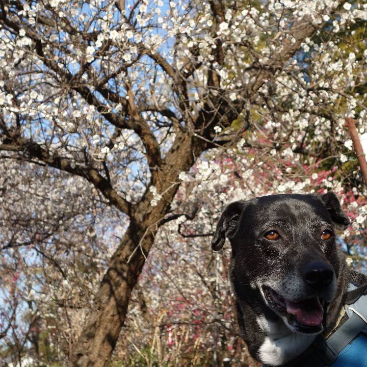 51571d3f e5cb 480f 9b33 7eab3753191d 1740790208135