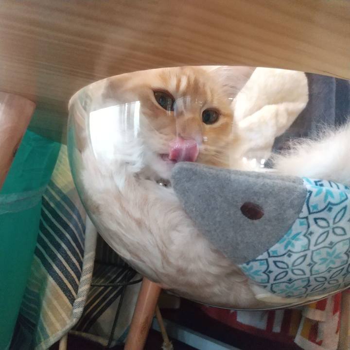 51571da5 3cae 4354 b8ad edb365b8fef2 1621481398718