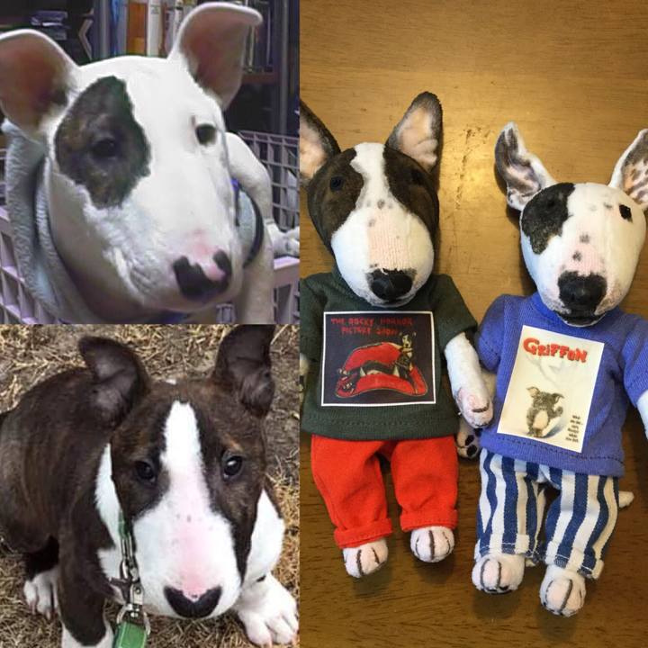 515720dd fe1e 4eb8 95aa cc944e779272 1574001666158