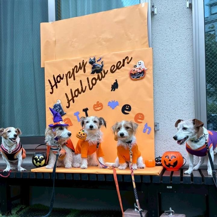 51572c7b d3db 40cd b9f7 3cbc377d3b61 1761353317874