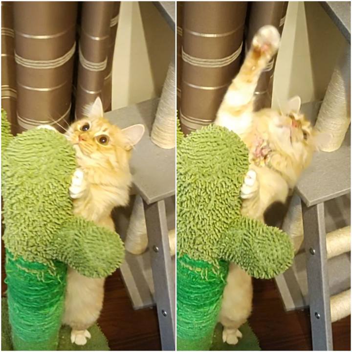 515747e4 3122 4ffb b810 c03343888431 1670453305354