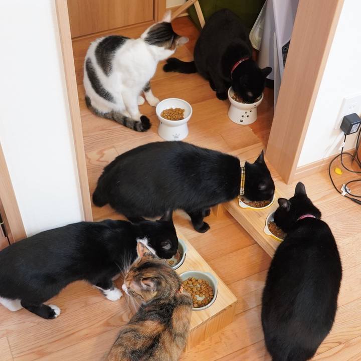 5157a1cc 98af 4c41 a720 0e7765e1164f 1607056155978