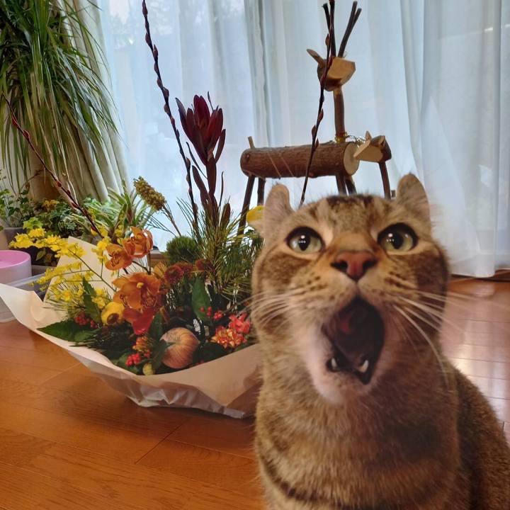 5157a4b0 7830 49b0 8590 dd9e1ea555b2 1609450760835