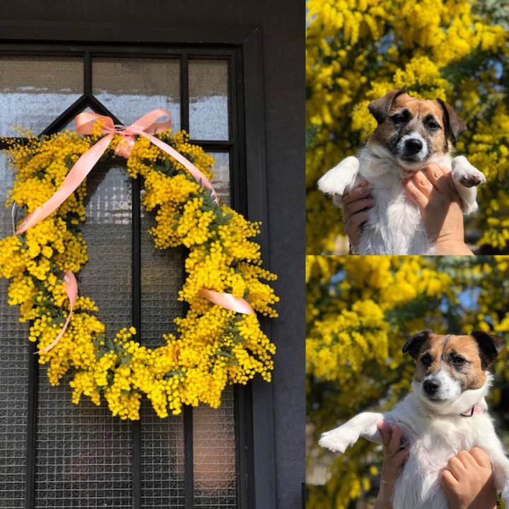 5157c03f eae6 4699 94d3 074abfeb1cf8 1552105596809