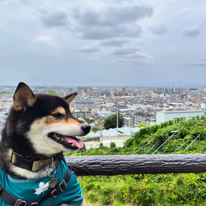 5157f882 6b16 4ae2 9593 fa99a573e498 1758625126394