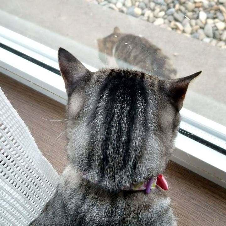 5157fb07 9db5 4475 a404 0d8bd678c245 1682439065242