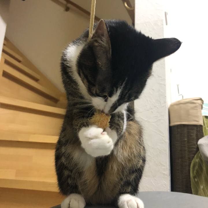 5157fb89 576a 49fa a0cb 20698d551faa 1556776677295