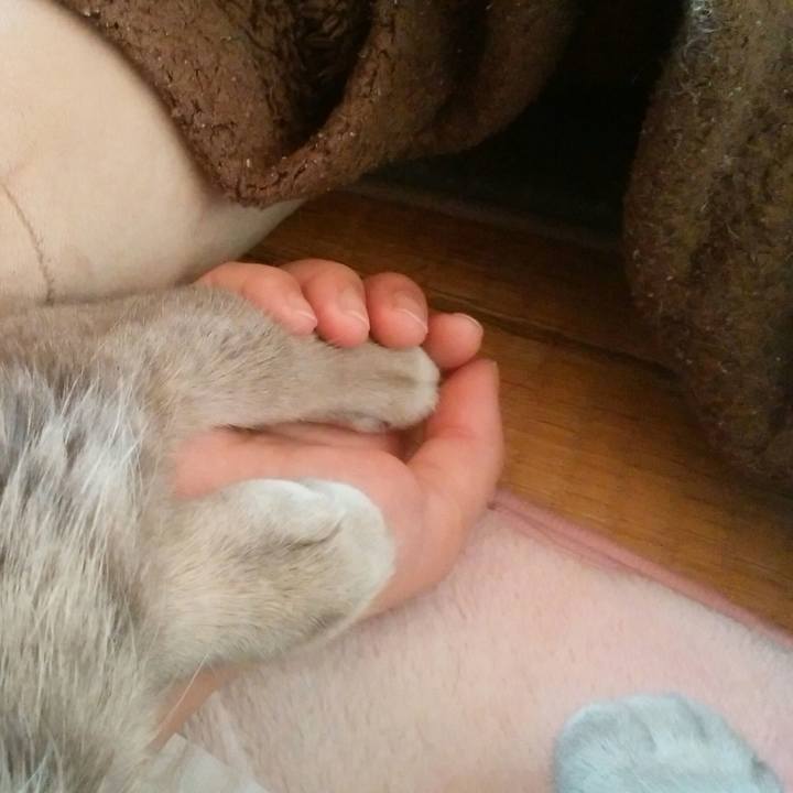 51580424 2978 423a 8c1c a706bc3635a7 1547942497711