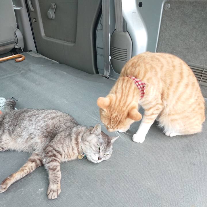 51580cd3 ea03 4dd1 9bec 9dcd1e0e966a 1563088958078