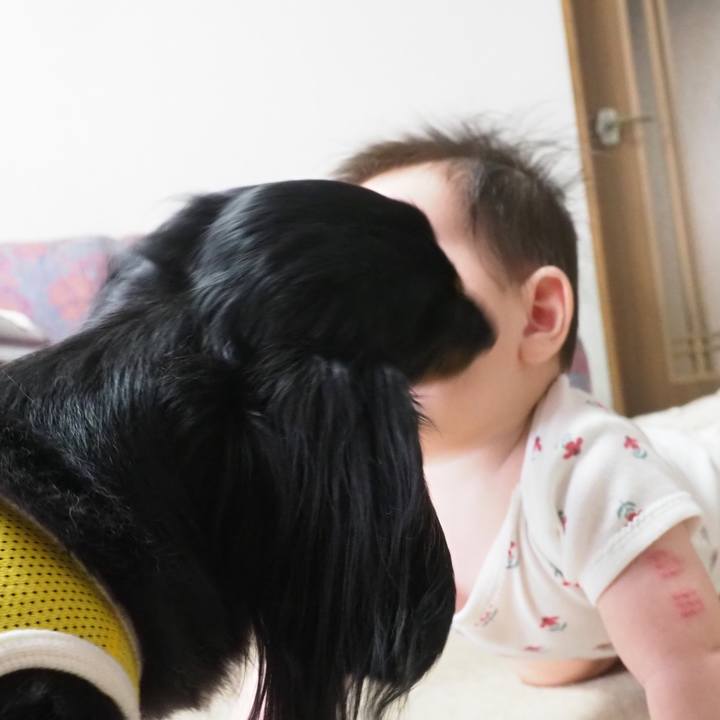 515827a8 5a9b 4389 ae7e 60a43cb9f900 1695041808208